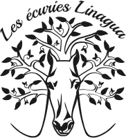 6304dd44e672f_images_small