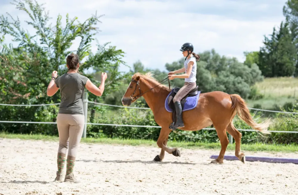 Stage et cours d'équitation près de Urt