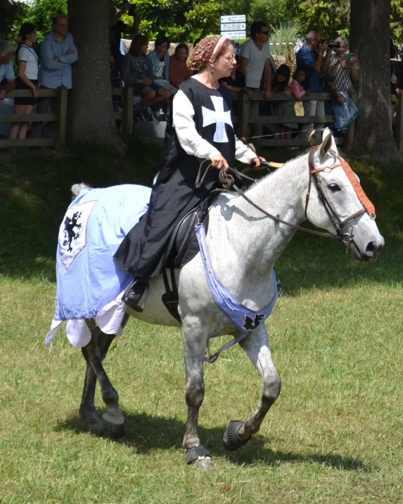 Les Ecuries Linagua (1)