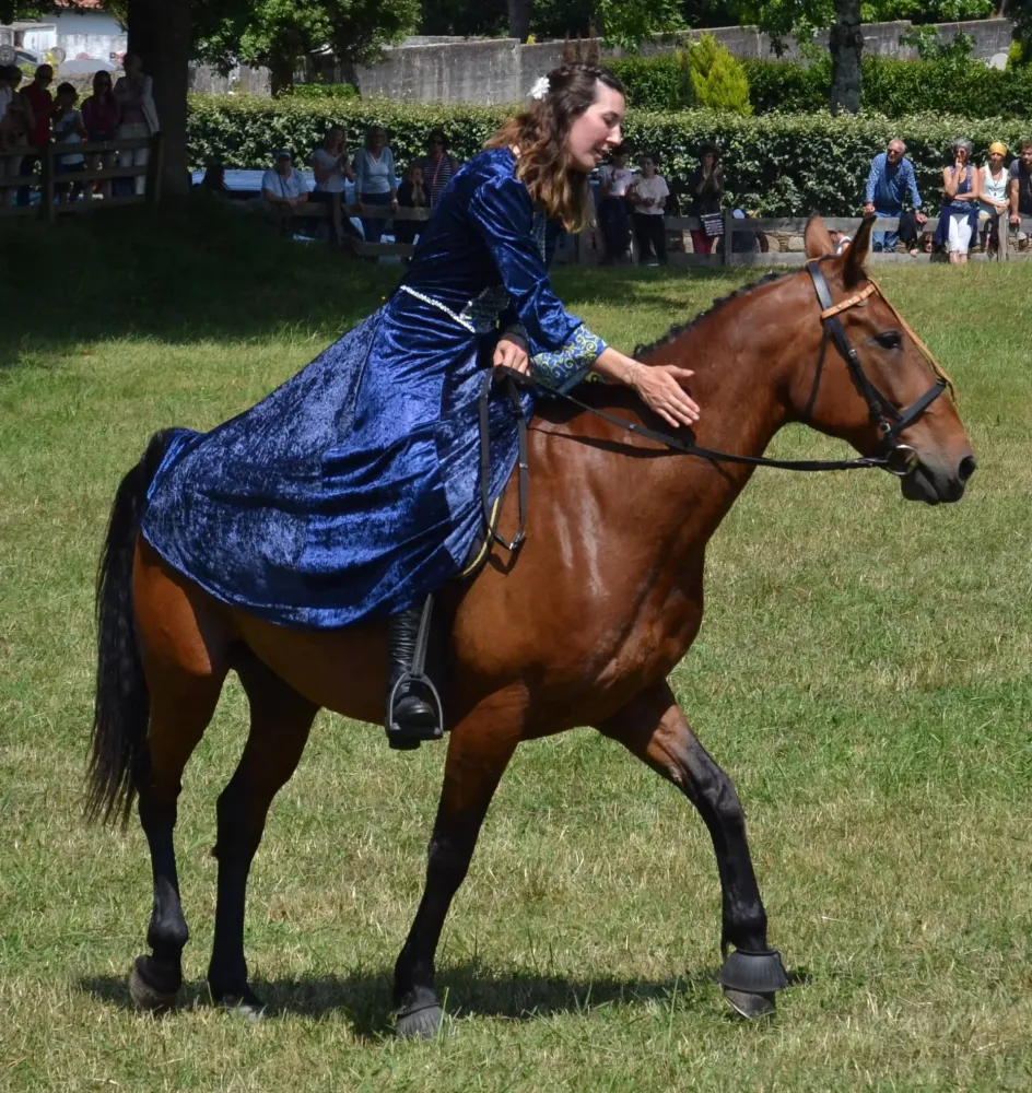 Les Ecuries Linagua (4)