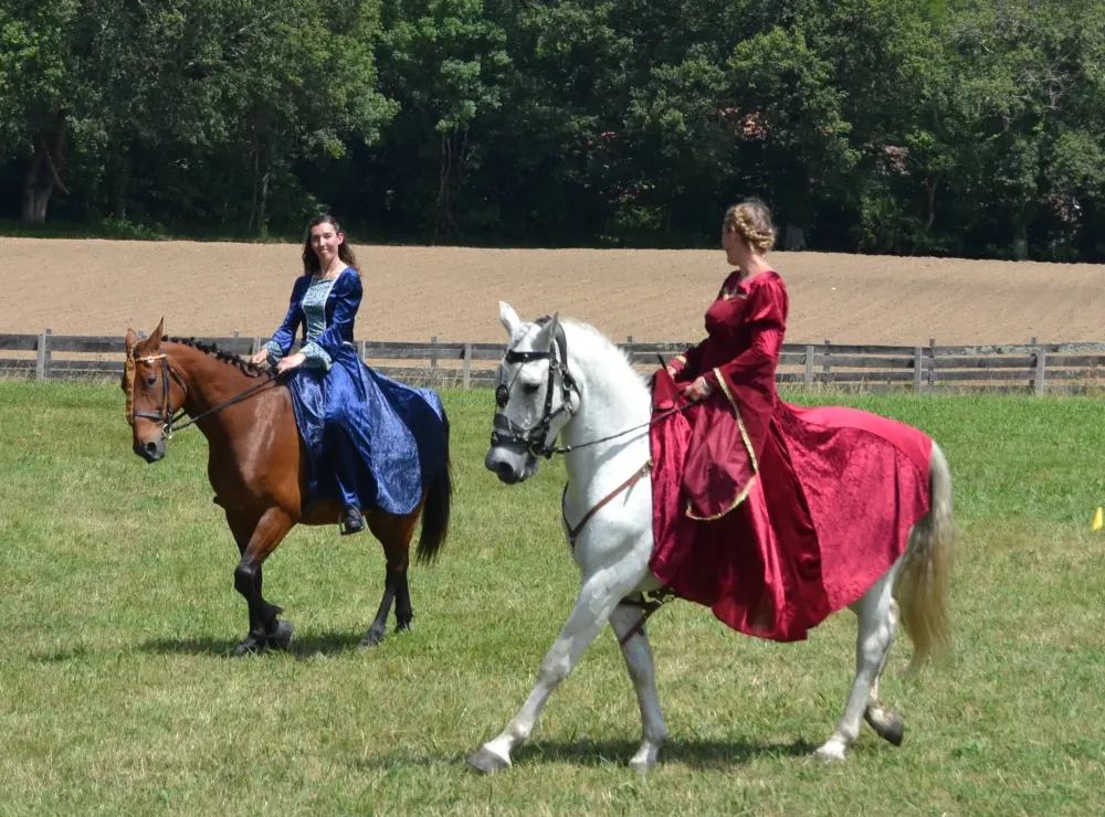 Les Ecuries Linagua (5)