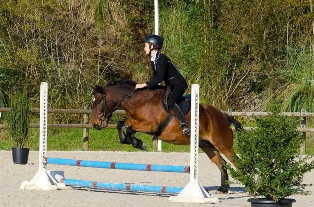 Les Ecuries Linagua (11)