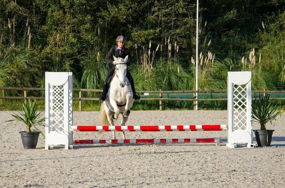 Les Ecuries Linagua (12)