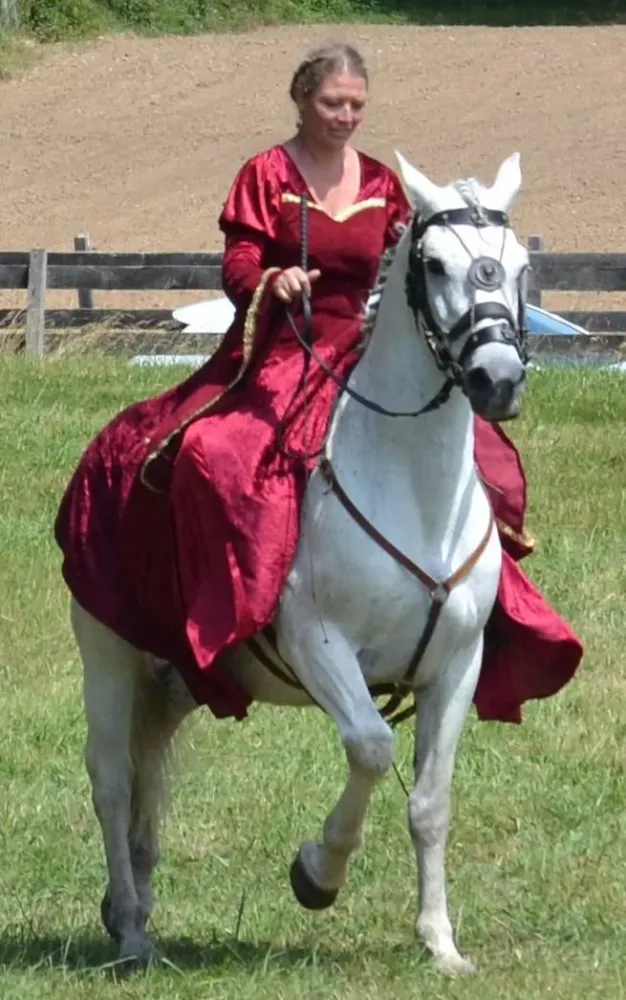 Les Ecuries Linagua (15)