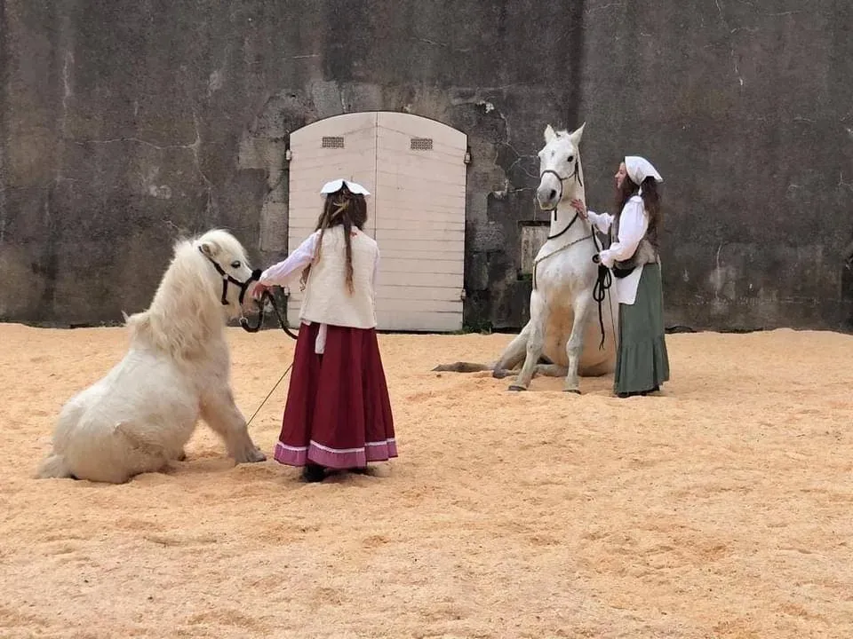 Les Ecuries Linagua (16)