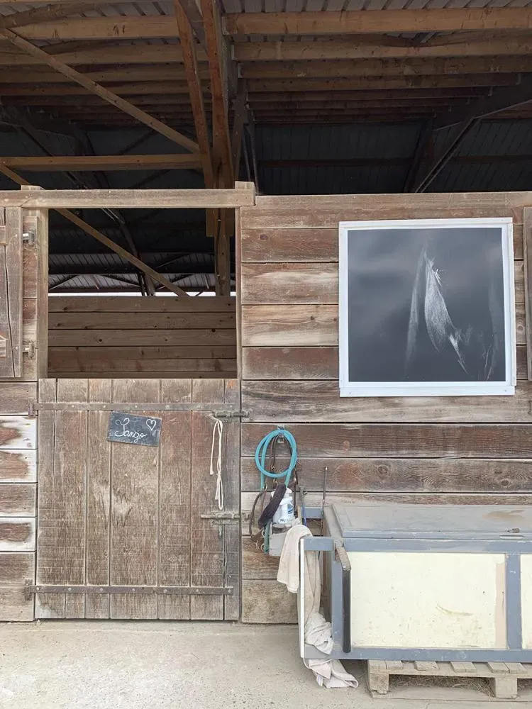 Les Ecuries Linagua (17)