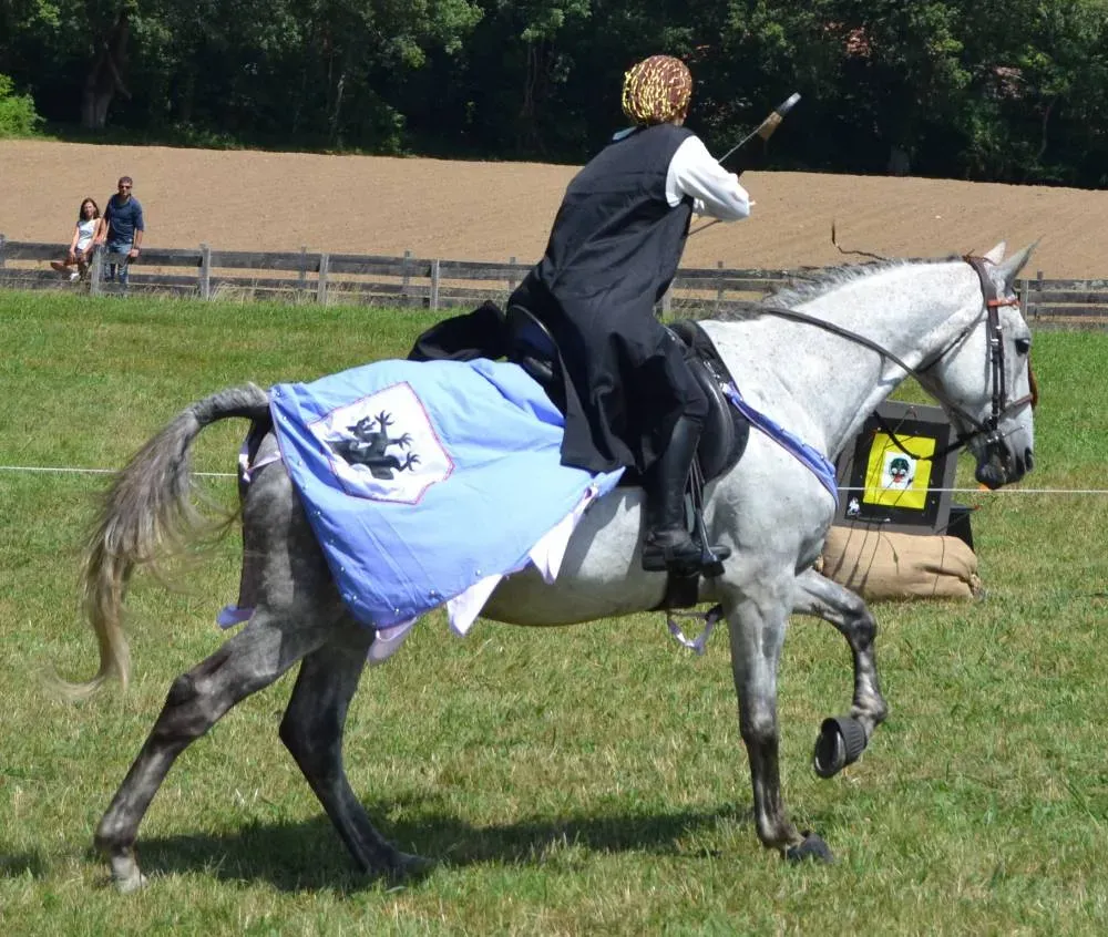 Les Ecuries Linagua (18)