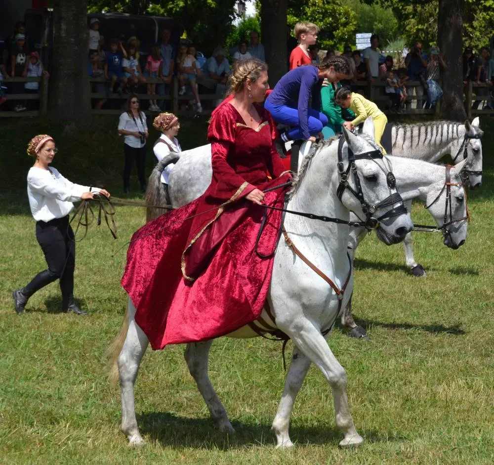 Les Ecuries Linagua (20)