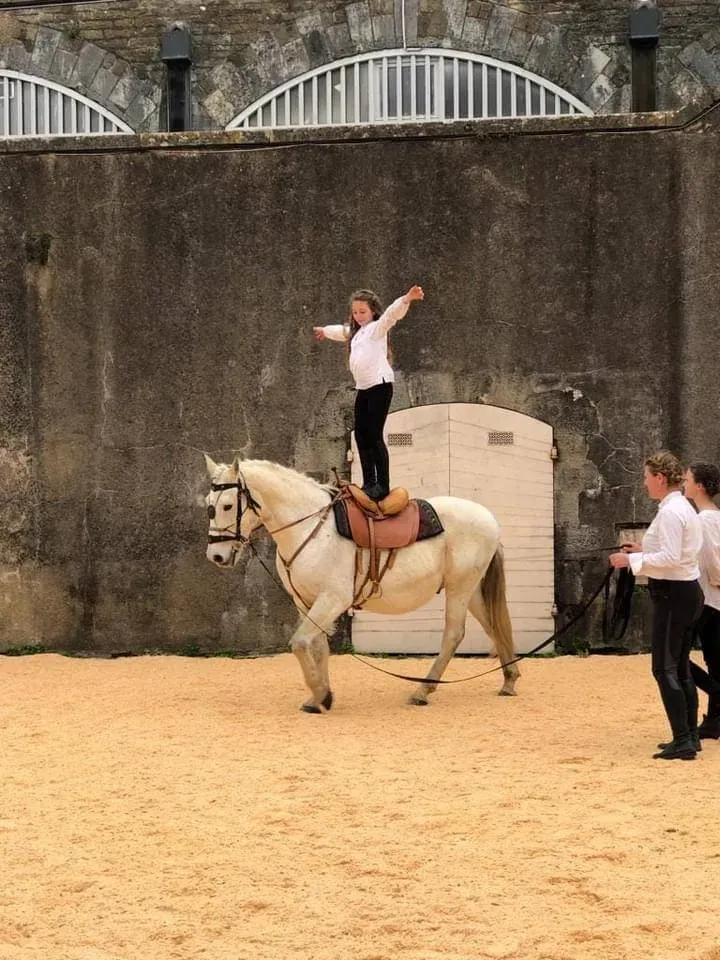 Les Ecuries Linagua photos (5)