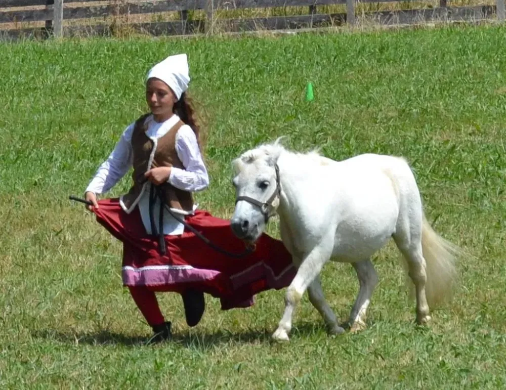 Les Ecuries Linagua photos (6)