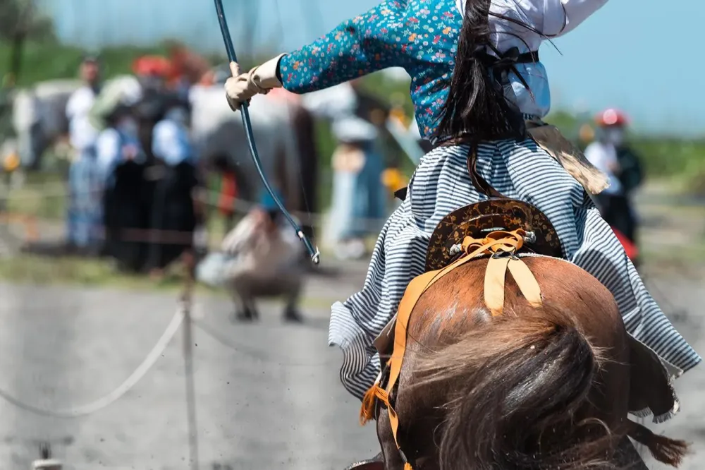 Les Ecuries Linagua photos (7)